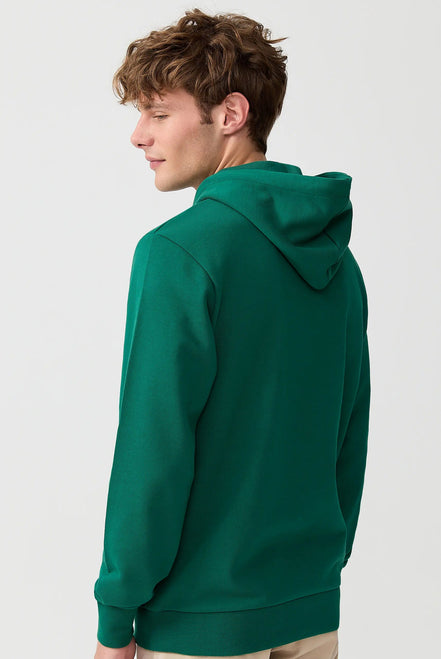 Matisse Hooded Sweatshirt - Green